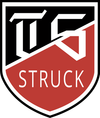 TS 1919 Struck Logo